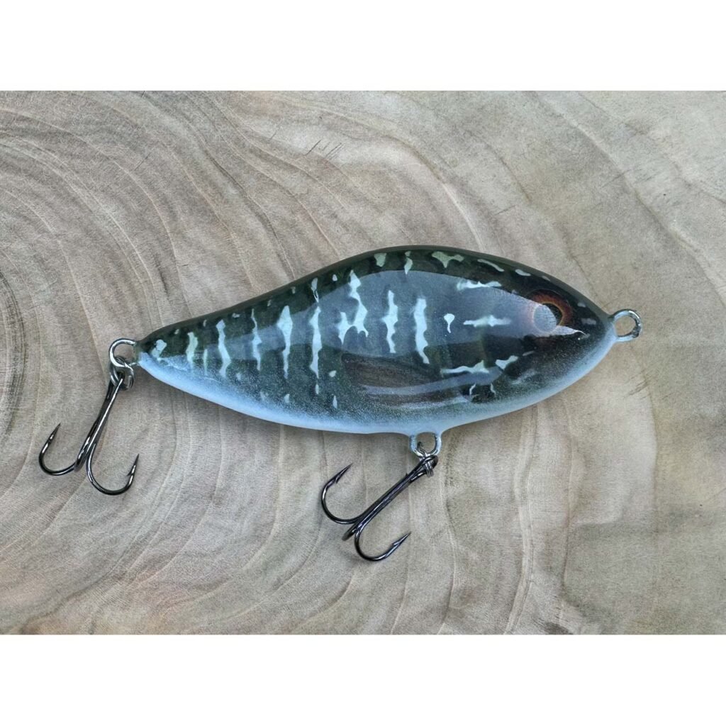 hector 10 bass
