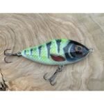 hector 10cm perch fluo