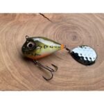Bass