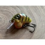 Chubby perch fat 1